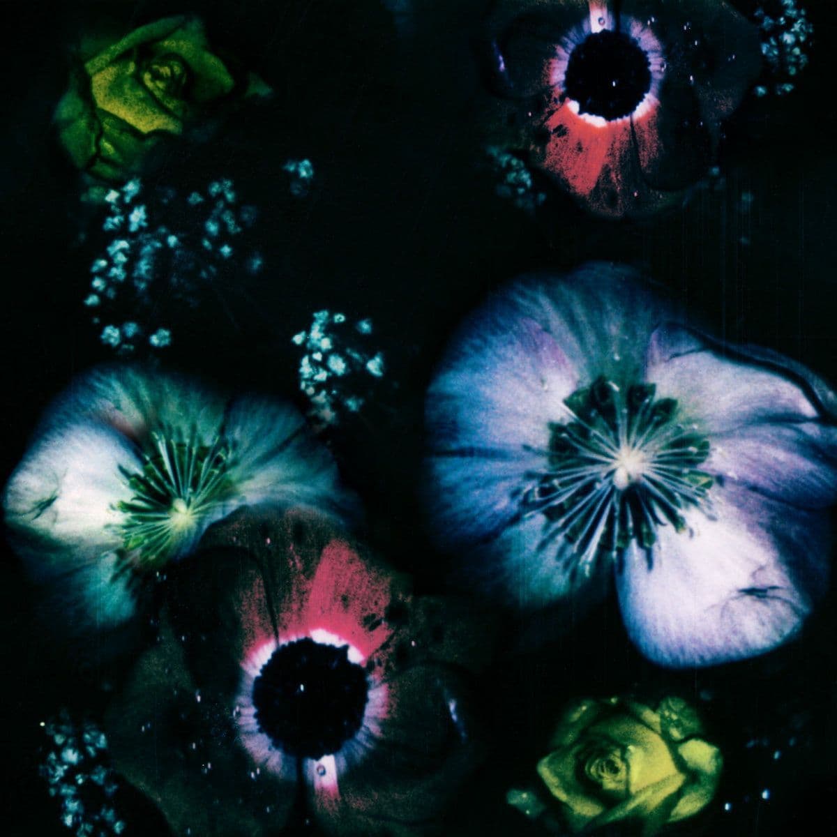 Cover image for Out now: 'Love Reversed', Vaal's thrilling sophomore album. Mixed and mastered at Hidden Mountain.